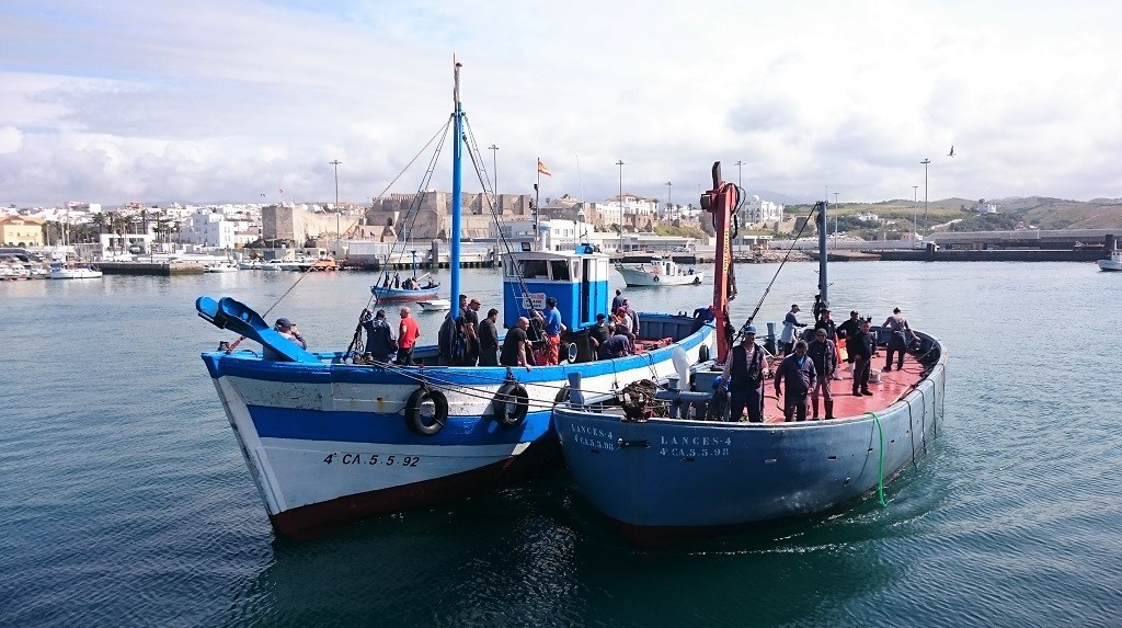 Almadraba Tarifa