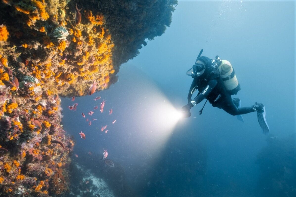 Scuba diving in Tarifa