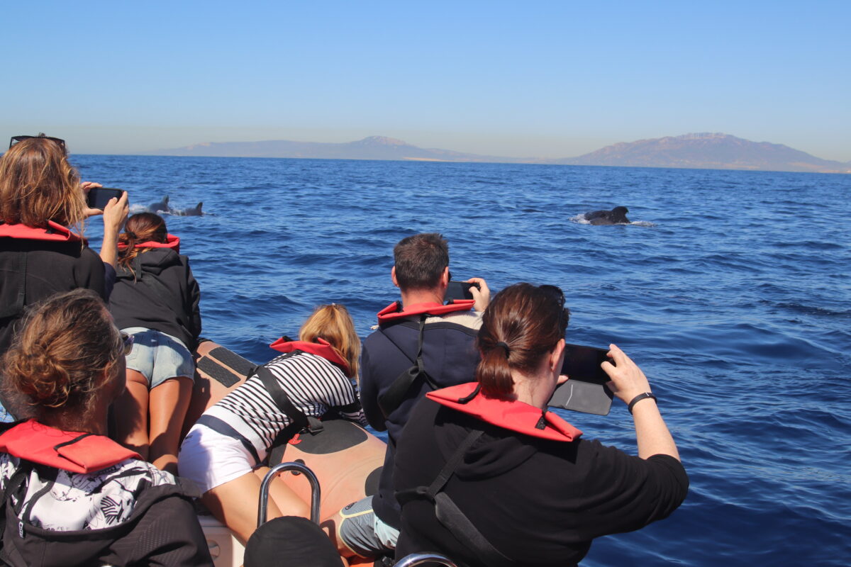 Discover Tarifa Whale Watching Fun. Photo Copyright Tarifa Travel 2025